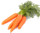 D:\Мои документы\Downloads\Carrot-PNG.png